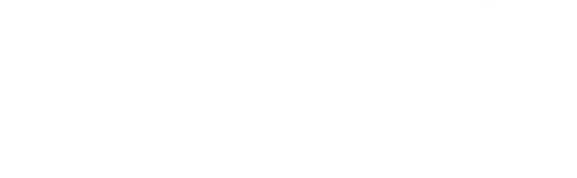High Vis Logo