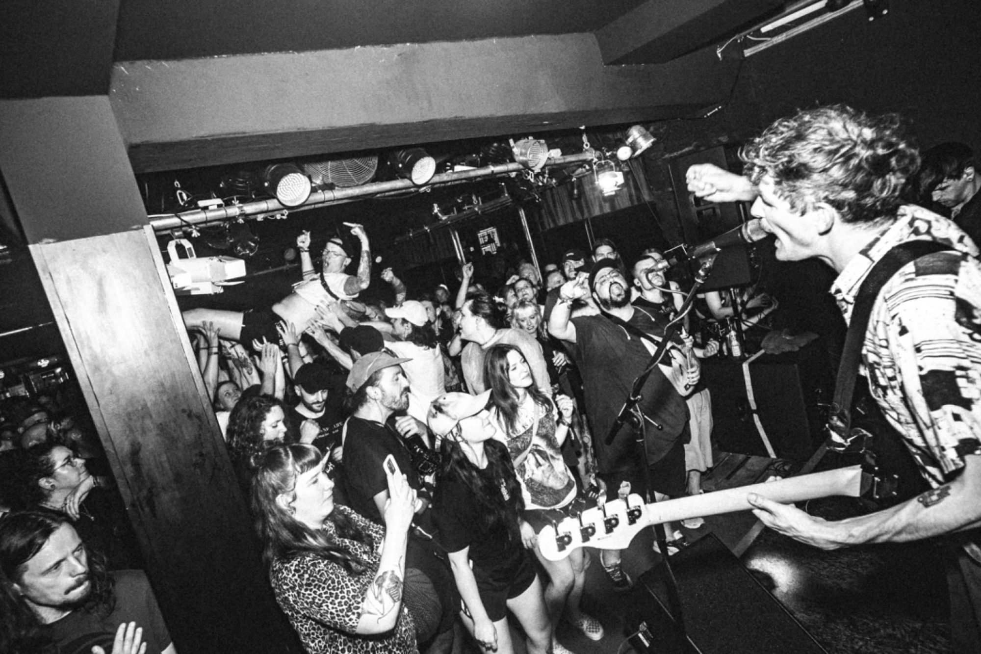 Birds in Row © Dave Mante