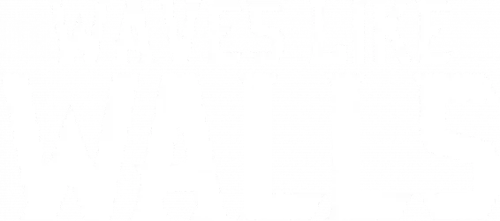 Waves Like Walls - Logo